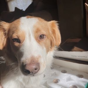 Meet your Posher, Alivia